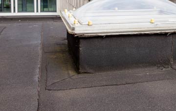 disadvantages of Skegoniel flat roofs