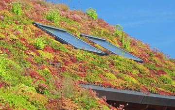 Skegoniel living roof systems