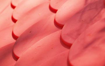 Skegoniel plastic roof costs