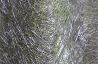 Skegoniel fibreglass roof work