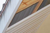 rated Skegoniel soffit repair companies